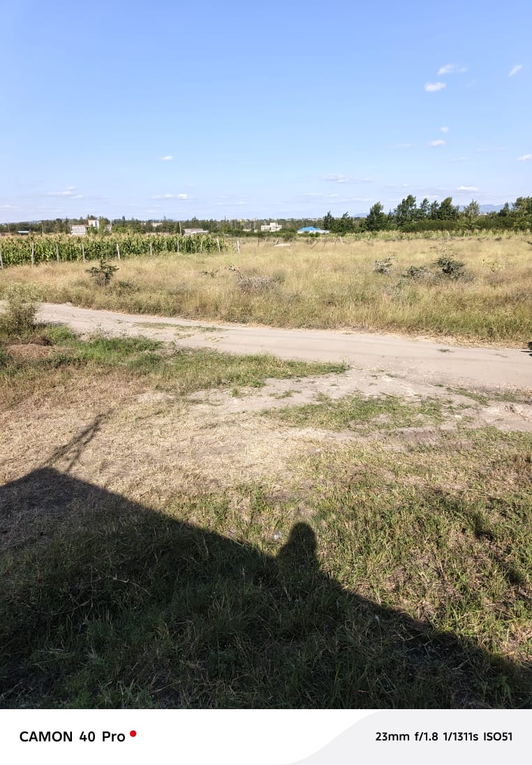 KANGUNDO ROAD PLOTS