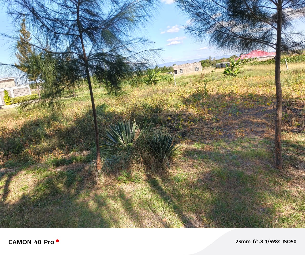 KANGUNDO ROAD PLOTS