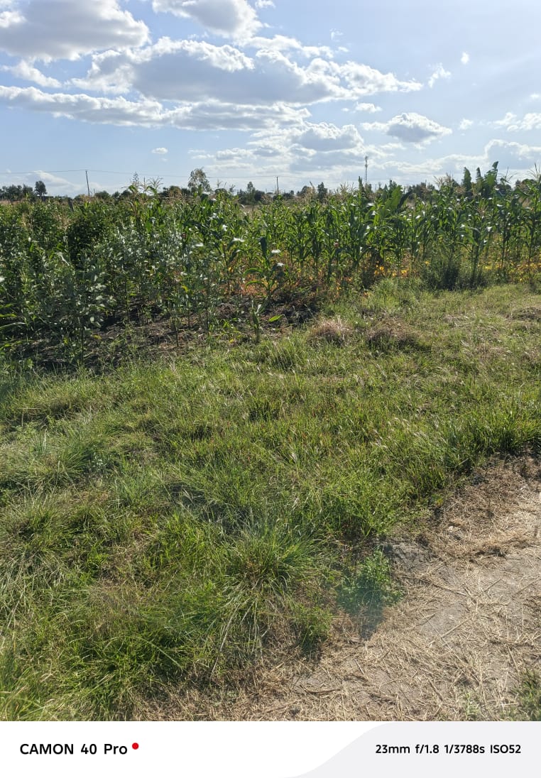 KAMULU PLOT FOR SELL